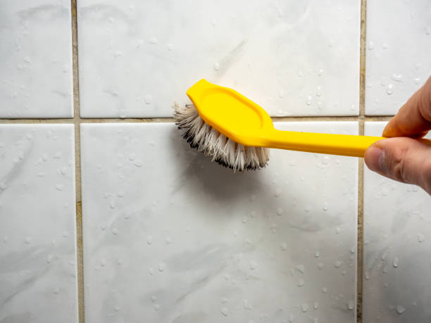 Best Commercial Mold Removal  in Smithsburg, MD