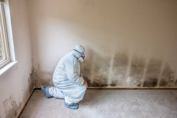 Best Crawl Space Mold Removal  in Smithsburg, MD