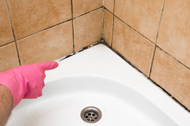 Best Residential Mold Removal  in Smithsburg, MD